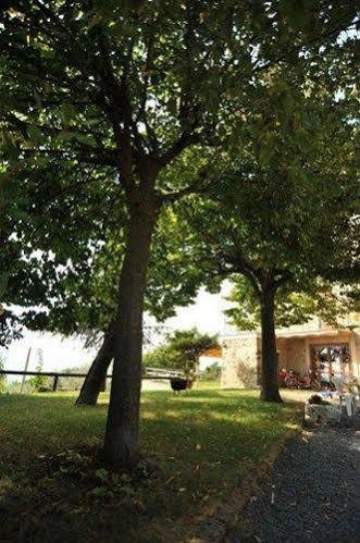 Il Casale Di Mario Villa Montecchio  Ngoại thất bức ảnh
